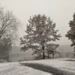 An image of a still pond, with trees all around the edges, beneath an overcast sky. There is a thin layer of snow on top of everything. It's the perfect weather for a winter reset.