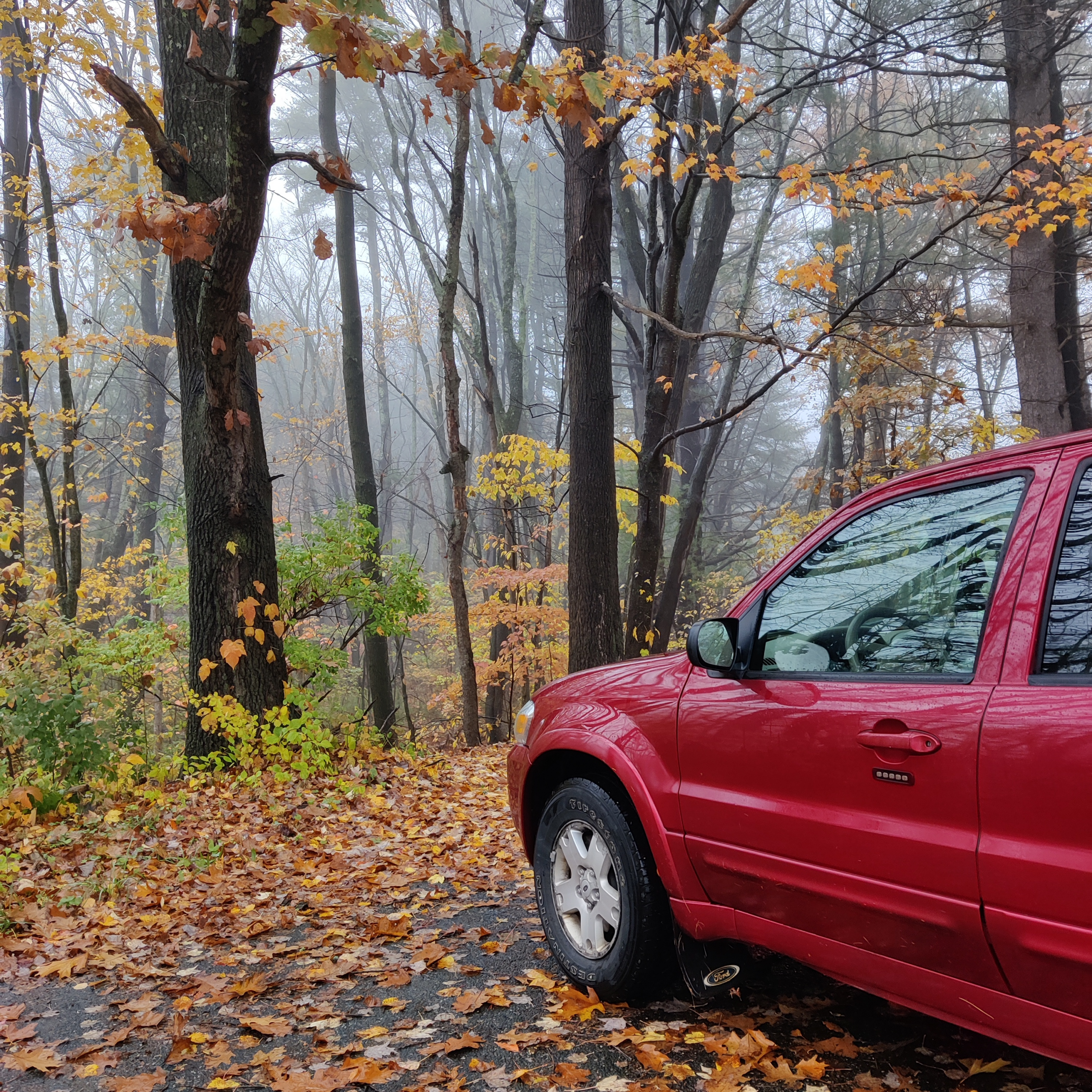 The front driver side of a 2006 Ford Escape LTD SUV. In the background (in front of the vehicle) are trees partially obscured by fog and shedding their autumn leaves.